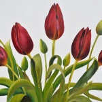 Silky Tulips Silky Tulips