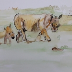 Wildernis Wildernis