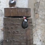 Dieren en natuur Dieren en natuur