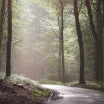 Dieren en natuur Dieren en natuur