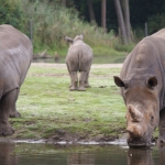Dieren en natuur Dieren en natuur