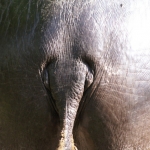 Dieren en natuur Dieren en natuur