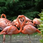 Dieren en natuur Dieren en natuur