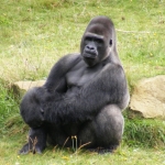 Dieren en natuur Dieren en natuur