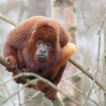 Dieren en natuur Dieren en natuur