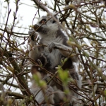 Dieren en natuur Dieren en natuur