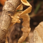 Dieren en natuur Dieren en natuur
