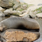 Dieren en natuur Dieren en natuur