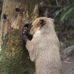Dieren en natuur Dieren en natuur