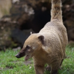Dieren en natuur Dieren en natuur