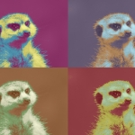 Popart Popart
