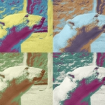 Popart Popart