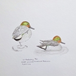 Wintertaling Wintertaling