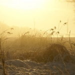 Winterdromen Winterdromen
