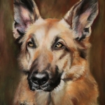 Vito Vito