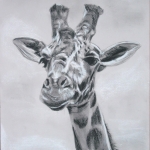 Giraffe Giraffe