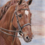 Hannie's paard Hannie's paard