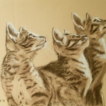 Drie kittens Drie kittens