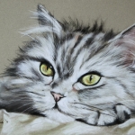 Dreamy Dreamy