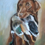 jachtportret van Bo ( in opdracht) jachtportret van Bo ( in opdracht)