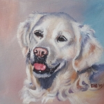 Golden retriever Golden retriever