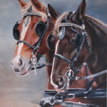 span paarden span paarden