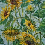 Zonnebloemen Zonnebloemen