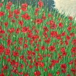 Rood. Papavers. Rood. Papavers.