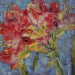 Amaryllis Amaryllis