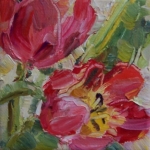 Tulpen rood 1 Tulpen rood 1