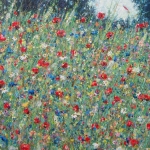 Zomer. Fleur Zomer. Fleur