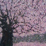 Kersenboom Kersenboom