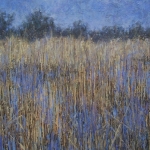 Rietlandschap Rietlandschap