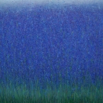 Lavendelveld Lavendelveld