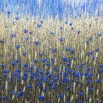 Korenbloemen Korenbloemen