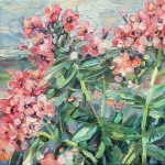 Fleur. Roze. Floxen Fleur. Roze. Floxen