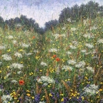 Through the field Through the field