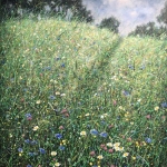 Through the grass Through the grass