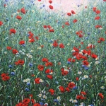 Field of dreams Field of dreams