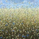 Cornfield Cornfield
