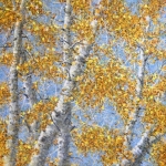 Autumn Autumn