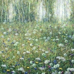 Through the morning meadow Through the morning meadow