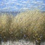 Terschelling Terschelling