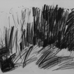 Landschap Landschap