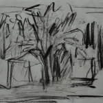 Appelboom Appelboom