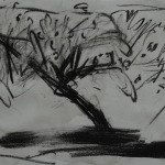 Appelboom Appelboom