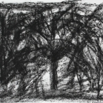 BRACHTERWALD BRACHTERWALD
