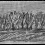 Landschap Landschap
