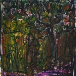 BRACHTERWALD BRACHTERWALD