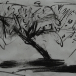APPELBOOM APPELBOOM